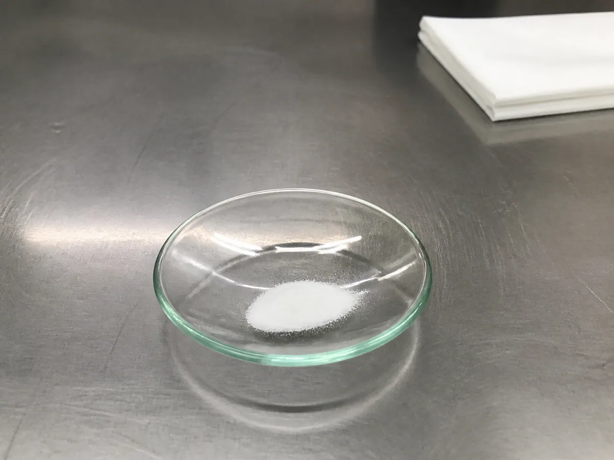 Fine white peptide research material in a laboratory glass dish